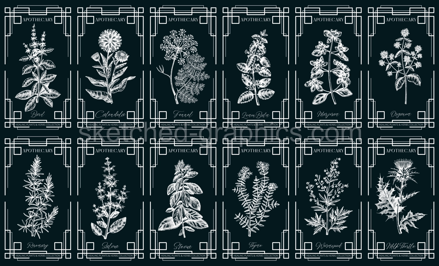 Art deco apothecary labels set. Healing plants, medicinal herbs sketches. Vintage frame design templates on chalkboard. NOT AI generated Illustration